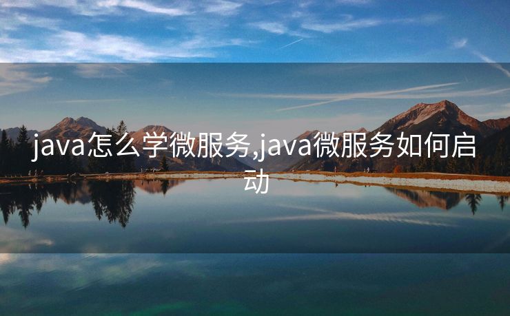 java怎么学微服务,java微服务如何启动