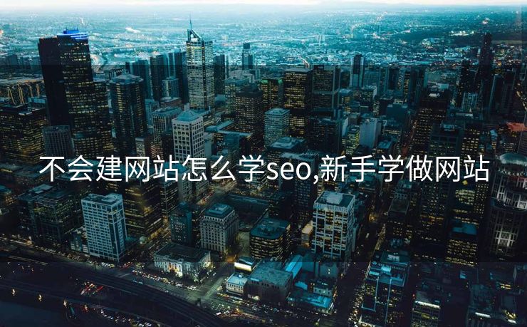 不会建网站怎么学seo,新手学做网站