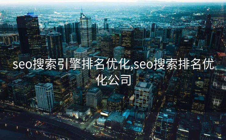 seo搜索引擎排名优化,seo搜索排名优化公司