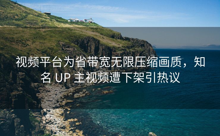 视频平台为省带宽无限压缩画质，知名 UP 主视频遭下架引热议