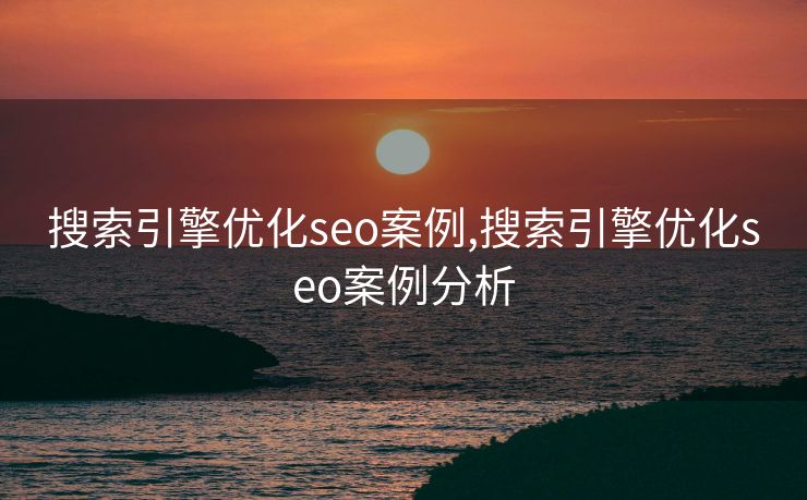 搜索引擎优化seo案例,搜索引擎优化seo案例分析