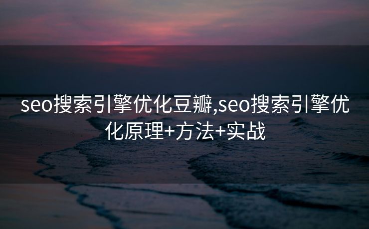 seo搜索引擎优化豆瓣,seo搜索引擎优化原理+方法+实战