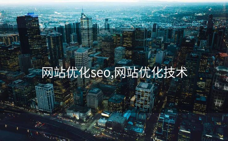 网站优化seo,网站优化技术