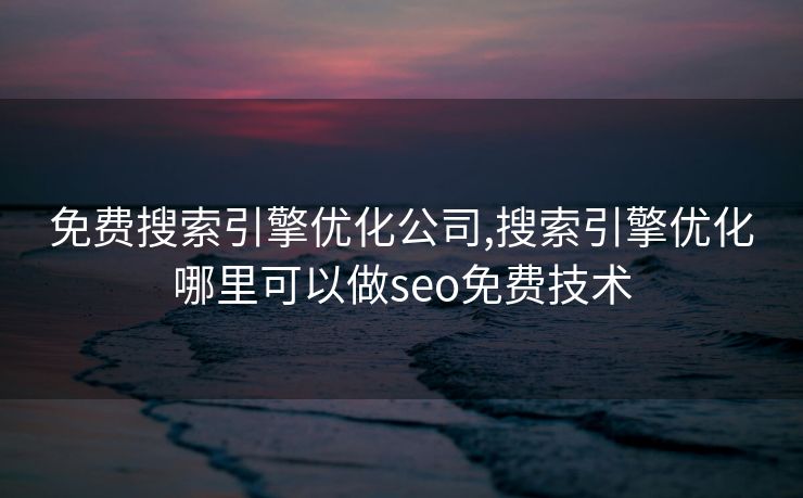 免费搜索引擎优化公司,搜索引擎优化哪里可以做seo免费技术