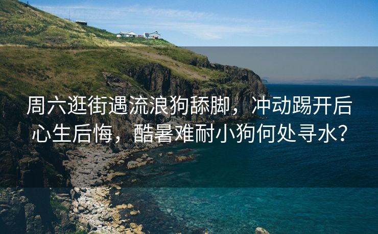 周六逛街遇流浪狗舔脚，冲动踢开后心生后悔，酷暑难耐小狗何处寻水？
