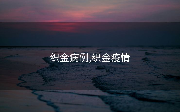 织金病例,织金疫情