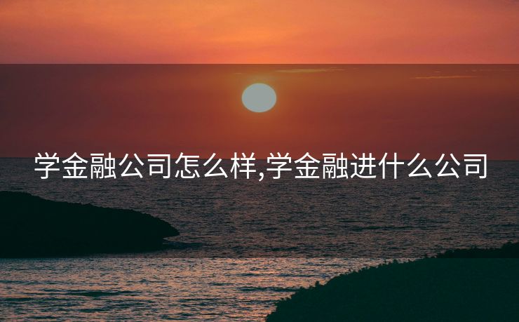 学金融公司怎么样,学金融进什么公司