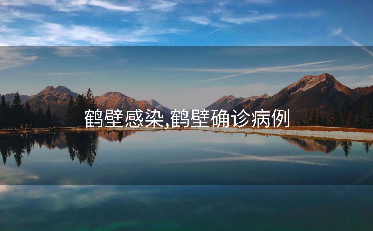 鹤壁感染,鹤壁确诊病例