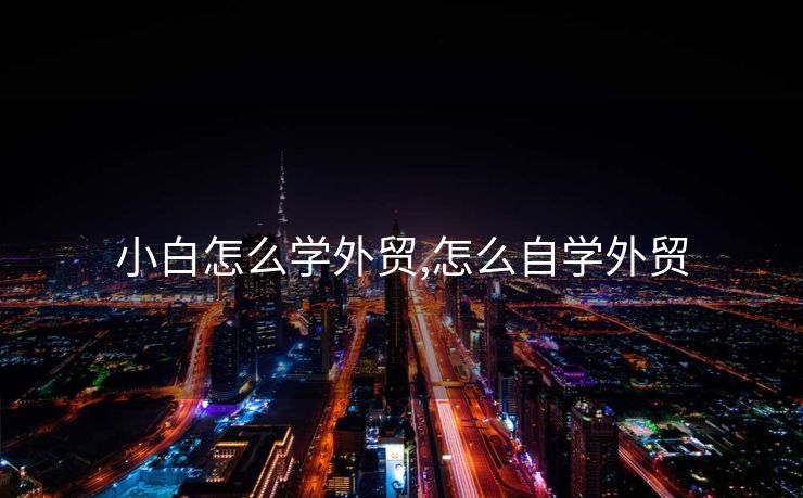 小白怎么学外贸,怎么自学外贸