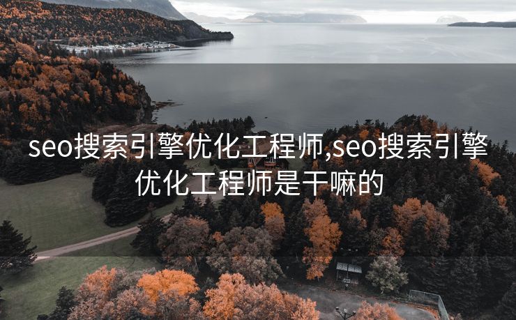 seo搜索引擎优化工程师,seo搜索引擎优化工程师是干嘛的