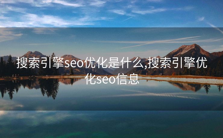 搜索引擎seo优化是什么,搜索引擎优化seo信息