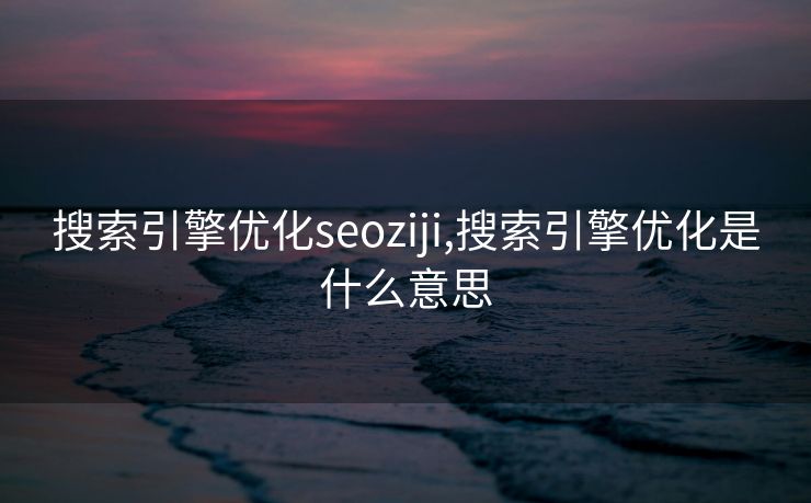 搜索引擎优化seoziji,搜索引擎优化是什么意思