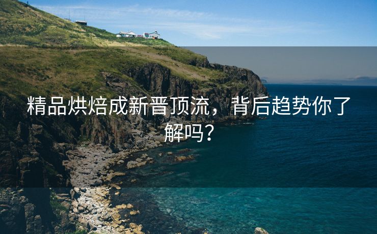 精品烘焙成新晋顶流，背后趋势你了解吗？