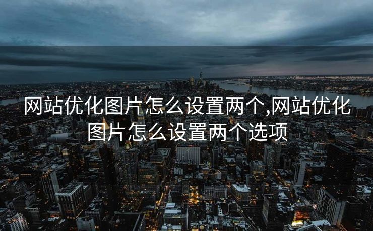 网站优化图片怎么设置两个,网站优化图片怎么设置两个选项