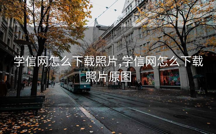 学信网怎么下载照片,学信网怎么下载照片原图