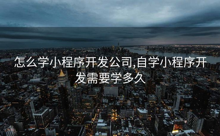 怎么学小程序开发公司,自学小程序开发需要学多久