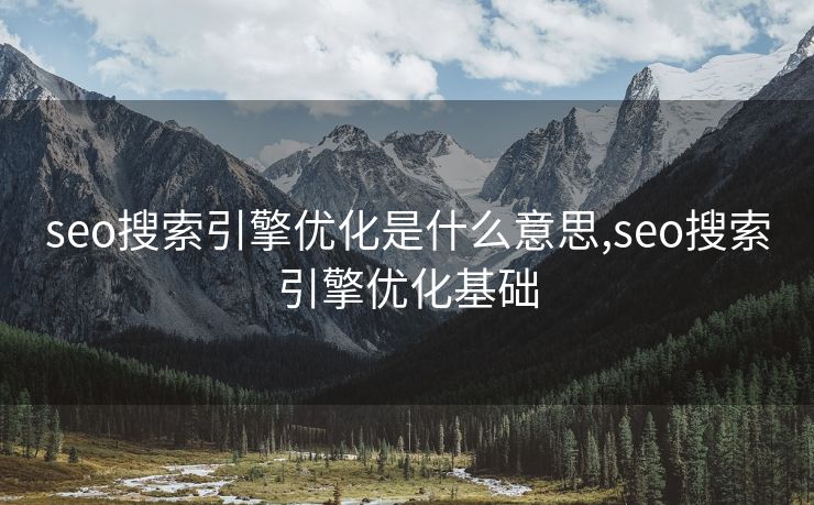 seo搜索引擎优化是什么意思,seo搜索引擎优化基础