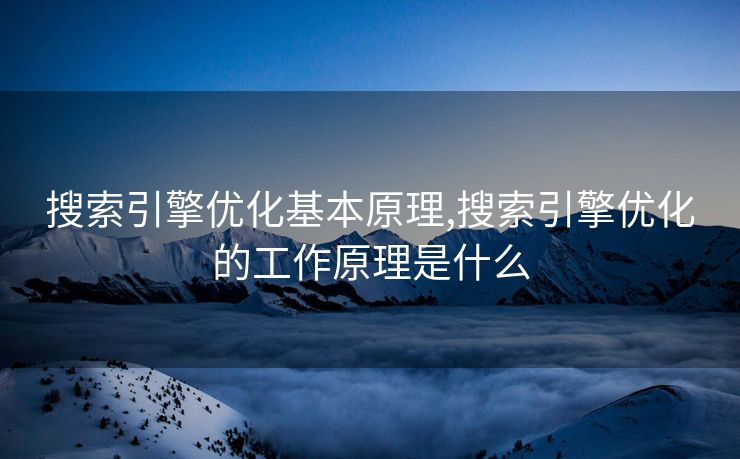 搜索引擎优化基本原理,搜索引擎优化的工作原理是什么