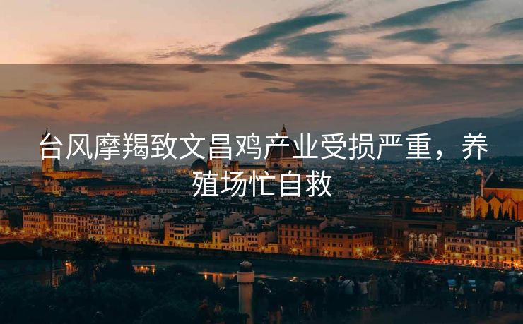 台风摩羯致文昌鸡产业受损严重，养殖场忙自救