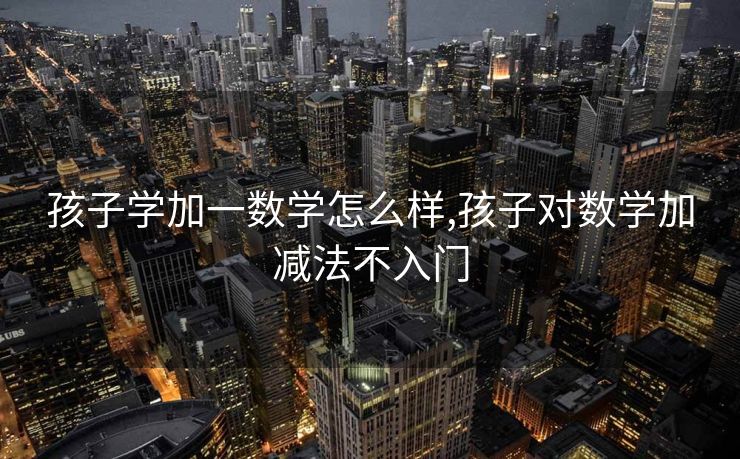 孩子学加一数学怎么样,孩子对数学加减法不入门