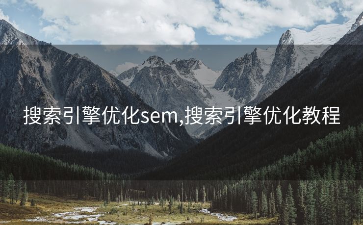 搜索引擎优化sem,搜索引擎优化教程