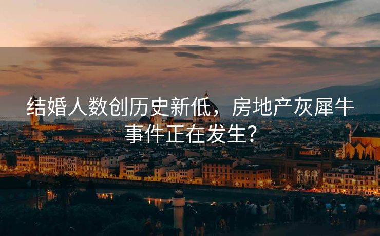 结婚人数创历史新低，房地产灰犀牛事件正在发生？