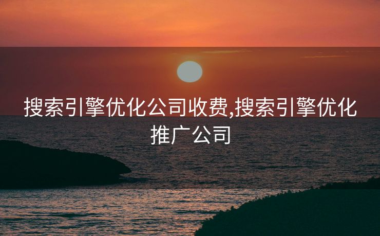搜索引擎优化公司收费,搜索引擎优化推广公司 搜索引擎优化公司收费,搜索引擎优化推广公司
