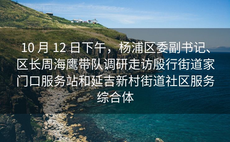 10 月 12 日下午，杨浦区委副书记、区长周海鹰带队调研走访殷行街道家门口服务站和延吉新村街道社区服务综合体