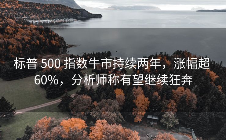 标普 500 指数牛市持续两年，涨幅超 60%，分析师称有望继续狂奔