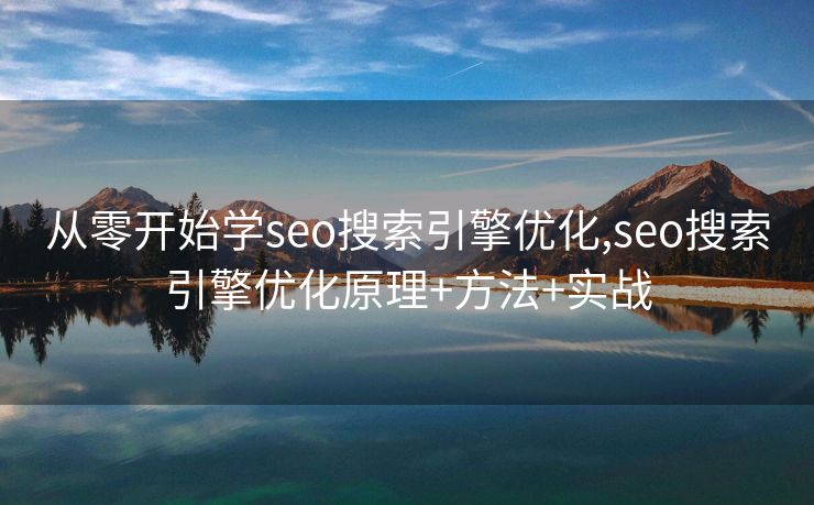 从零开始学seo搜索引擎优化,seo搜索引擎优化原理+方法+实战