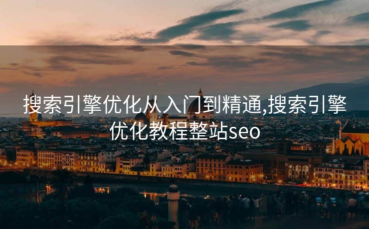 搜索引擎优化从入门到精通,搜索引擎优化教程整站seo