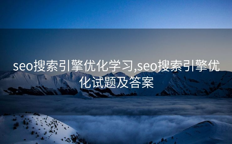 seo搜索引擎优化学习,seo搜索引擎优化试题及答案
