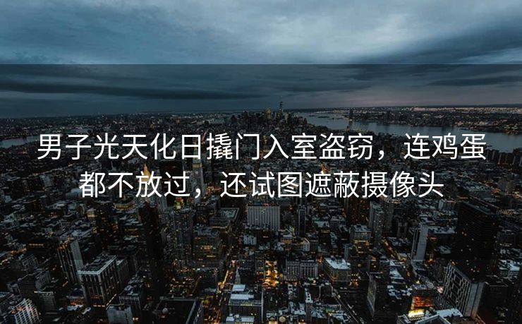 男子光天化日撬门入室盗窃，连鸡蛋都不放过，还试图遮蔽摄像头