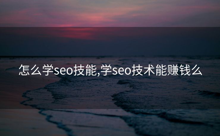 怎么学seo技能,学seo技术能赚钱么