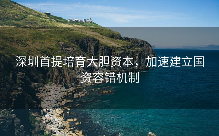 深圳首提培育大胆资本，加速建立国资容错机制
