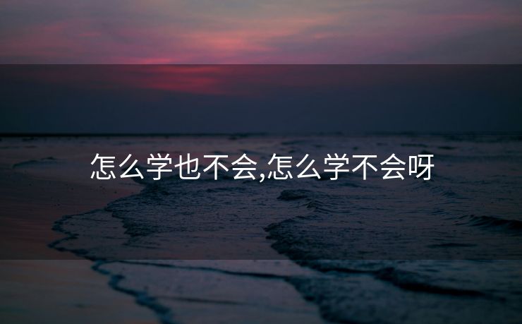 怎么学也不会,怎么学不会呀