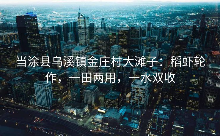 当涂县乌溪镇金庄村大滩子：稻虾轮作，一田两用，一水双收