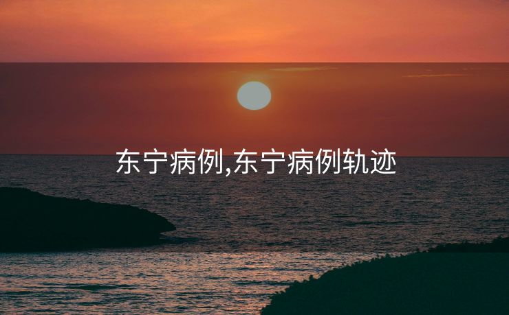 东宁病例,东宁病例轨迹