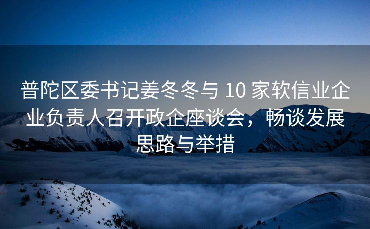 普陀区委书记姜冬冬与 10 家软信业企业负责人召开政企座谈会，畅谈发展思路与举措