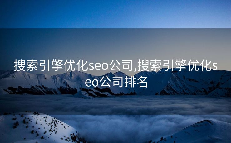 搜索引擎优化seo公司,搜索引擎优化seo公司排名